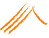 Cooplem On-line